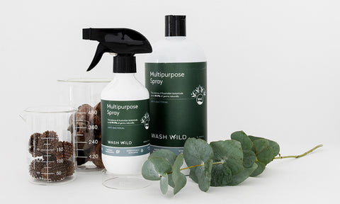 The research behind WASH WILD