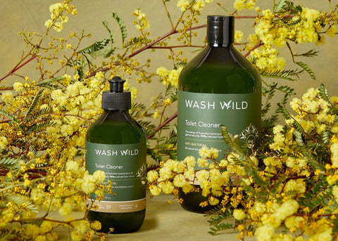 TOILET CLEANER 300ml & 1L REFILL