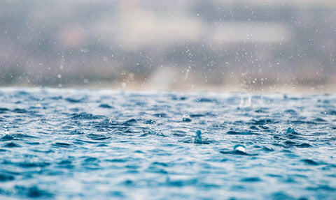 PFAS - The Forever Chemicals