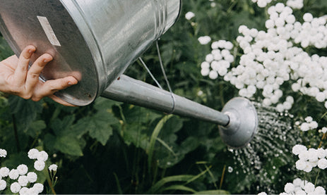 A guide to choosing greywater safe products