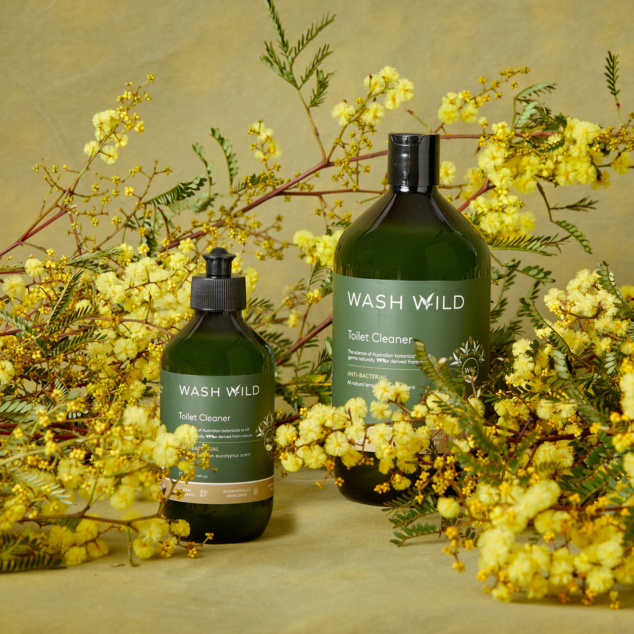 Wash Wild Toilet Cleaner – WASH WILD
